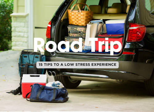 Top 15 Tips for Planning a Family Road Trip Without the Stress 🚗