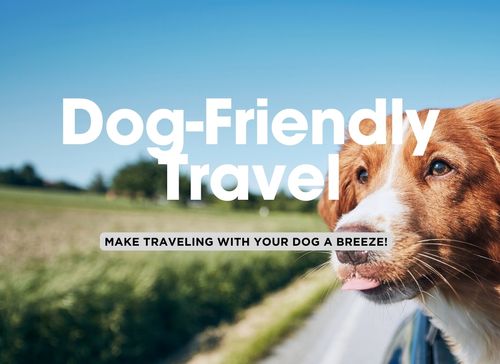 Top 5 Tips When Traveling with Dogs